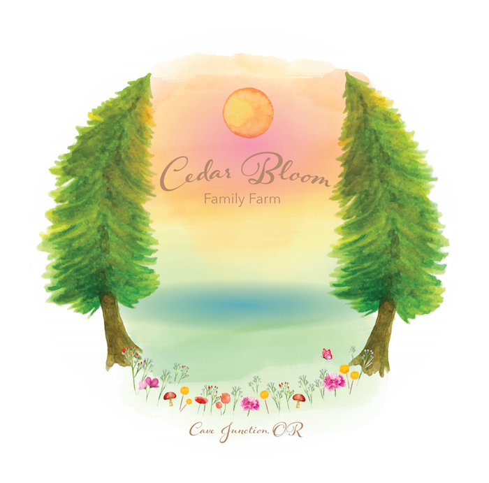 Cedar Bloom Transparent Background-2 copy