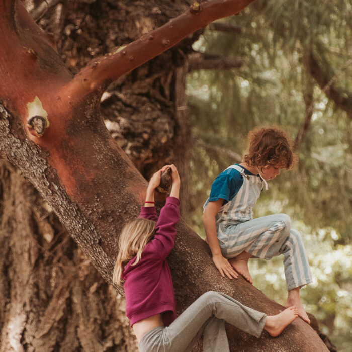 Keiki_SpiritWeaversGathering25_resized_Nenah_Eve_1321