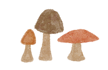 mushrooms